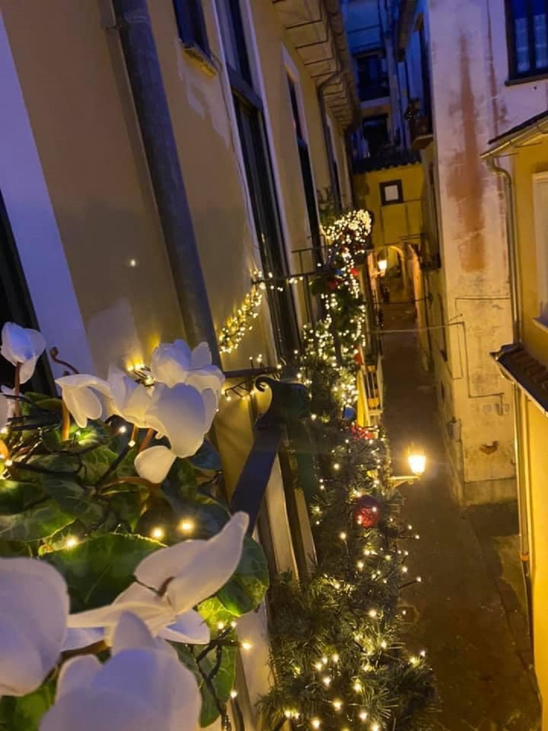 IlluminiAMO Salerno: i balconi si accendono mercoledì 8 dicembre