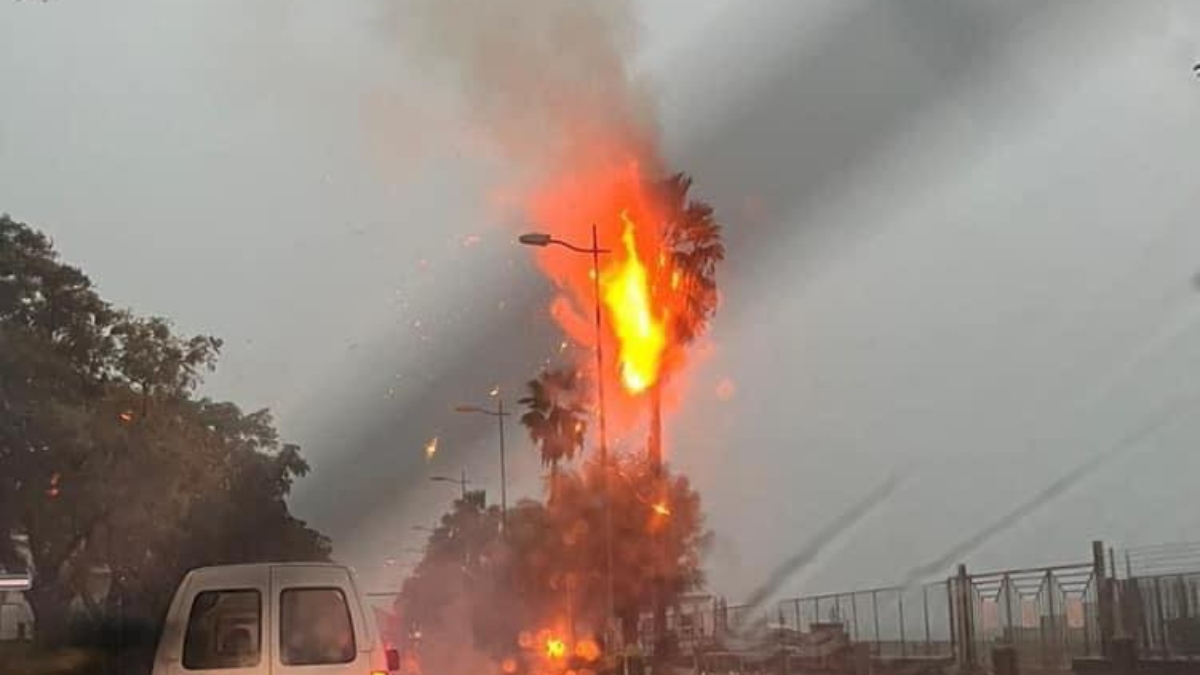 Maltempo a Salerno, fulmine si abbatte su una palma che va a fuoco