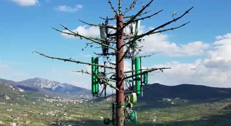 Giffoni Vallepiana: un traliccio telefonico con le sembianze di un albero in zona vincolata; il video di Amodio
