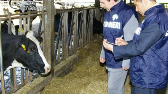 Agro Nocerino-Sarnese, sospesa e multata per oltre 8mila euro la “Fattoria Didattica” abusiva